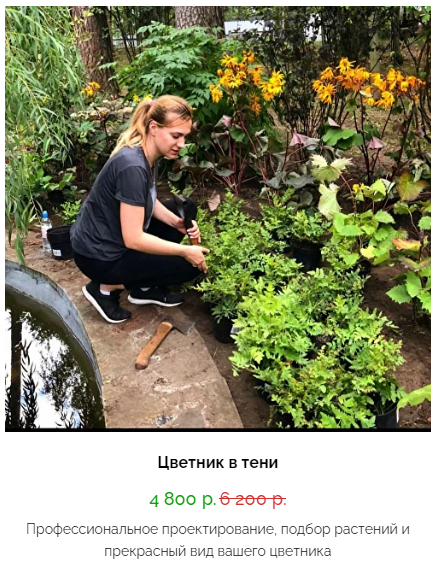 [Кристианна Виниченко] Цветник в тени (2025)_0.png